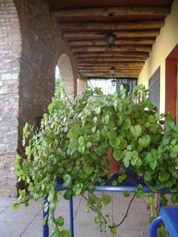 Corteconcepción La Casa Del Cura 게스트하우스 외부 사진